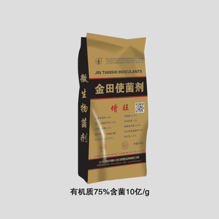 ����ʹ����